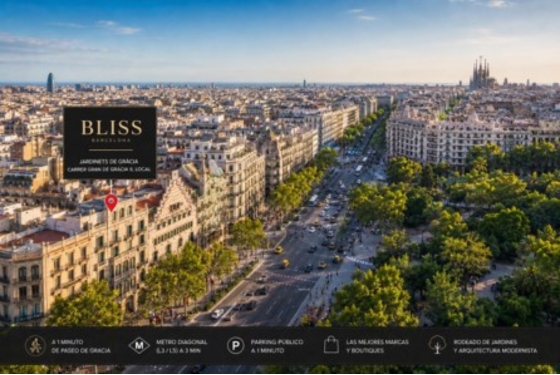 Masaje erótico tantricos | Bliss Barcelona | Blog | Viajas por trabajo | Vista panorámica de Passeig de Gràcia mostrando el ambiente elegante, hoteles, edificios emblemáticos y el entorno empresarial del centro de Barcelona. | Foto #01